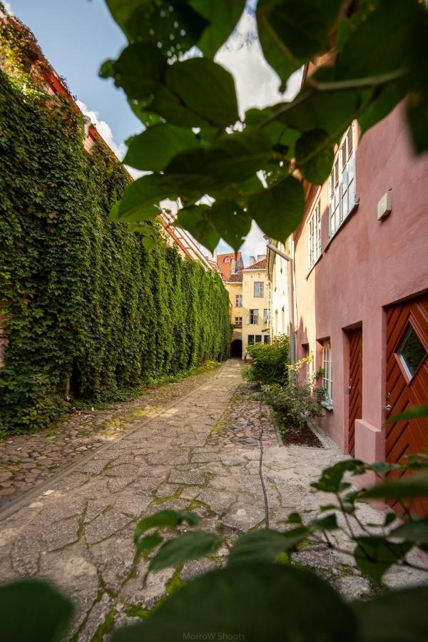 Medieval Home ทาลลินน์ ภายนอก รูปภาพ